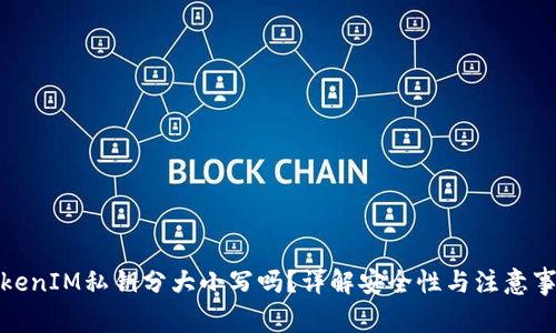 TokenIM私钥分大小写吗？详解安全性与注意事项