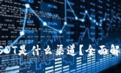 TP钱包中的USDT是什么渠道