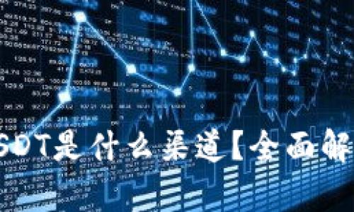 TP钱包中的USDT是什么渠道？全面解析与使用指南