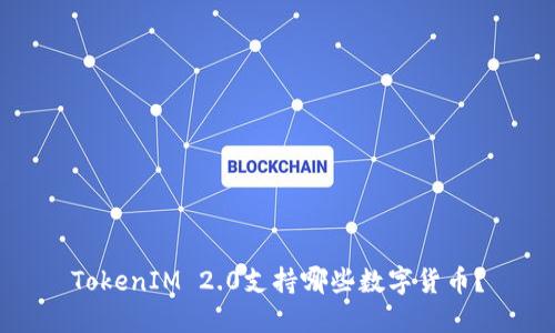 TokenIM 2.0支持哪些数字货币？