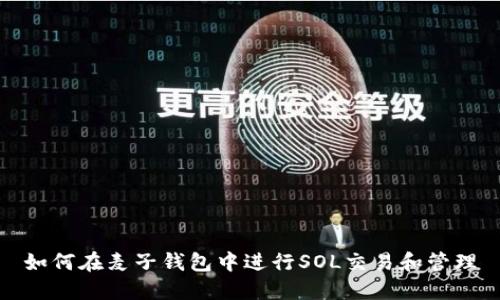 如何在麦子钱包中进行SOL交易和管理