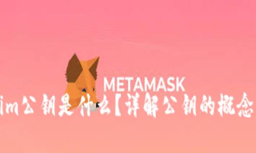 Tokenim公钥是什么？详解公钥的概念与应用