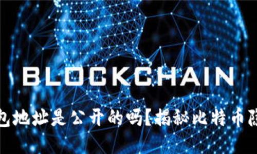 比特币钱包地址是公开的吗？揭秘比特币隐私与安全