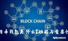 : 比特币钱包是什么？功能