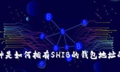 V神是如何拥有SHIB的钱包地
