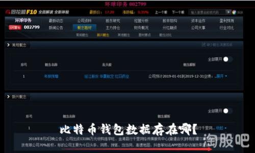 比特币钱包数据存在哪？