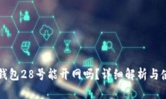 比特币钱包28号能开网吗？详细解析与使用指南