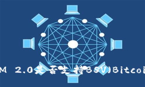 TokenIM 2.0是否支持BSV（Bitcoin SV）？