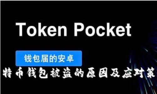 比特币钱包被盗的原因及应对策略