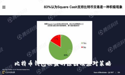 比特币钱包被盗的原因及应对策略