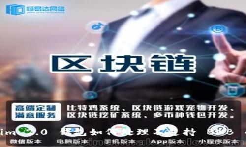 Tokenim 2.0 钱包如何处理不支持 BNB 的问题