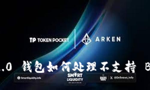 Tokenim 2.0 钱包如何处理不支持 BNB 的问题
