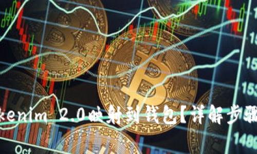 : 如何将Tokenim 2.0映射到钱包？详解步骤与注意事项