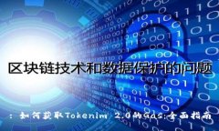: 如何获取Tokenim 2.0的Gas：