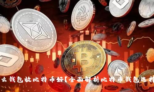用什么钱包放比特币好？全面解析比特币钱包选择指南