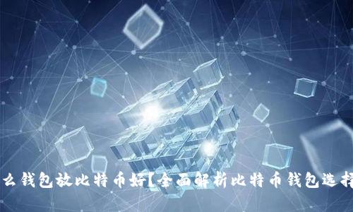用什么钱包放比特币好？全面解析比特币钱包选择指南