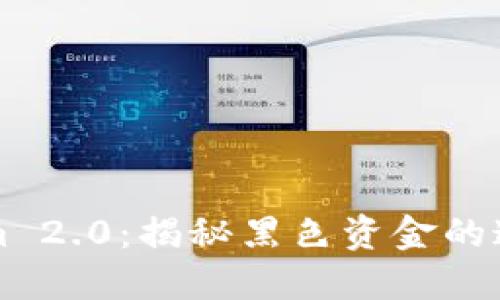 Tokenim 2.0：揭秘黑色资金的追踪能力
