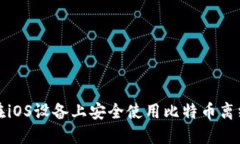 如何在iOS设备上安全使用