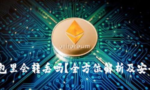 USDT在钱包里会转丢吗？全方位解析及安全使用指南