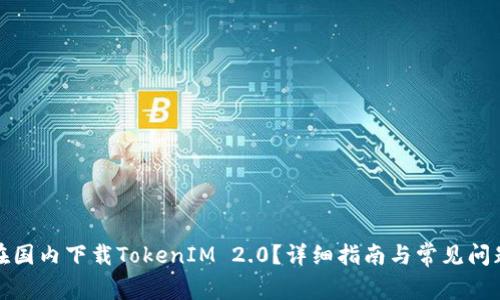 如何在国内下载TokenIM 2.0？详细指南与常见问题解答