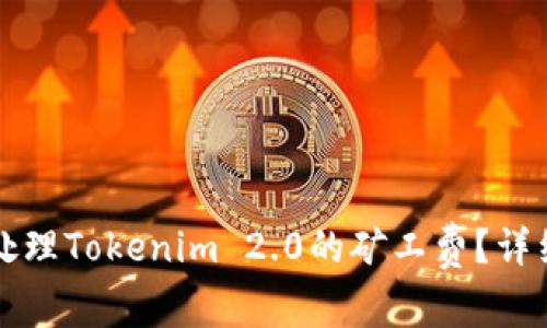 如何处理Tokenim 2.0的矿工费？详细指南