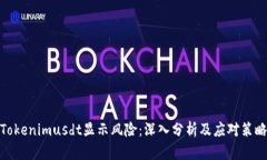 Tokenimusdt显示风险：深入分