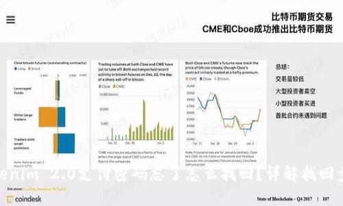 Tokenim 2.0支付密码忘了怎么找回？详解找回步骤