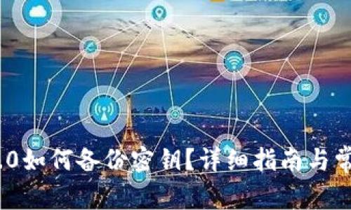 TokenIM 2.0如何备份密钥？详细指南与常见问题解答