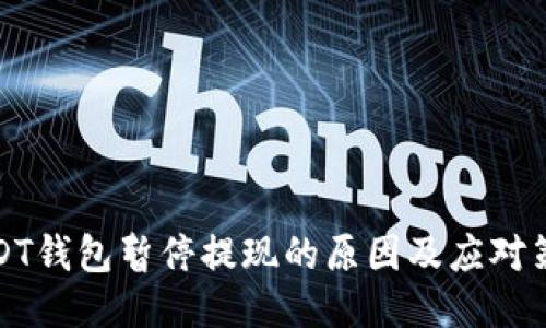 USDT钱包暂停提现的原因及应对策略