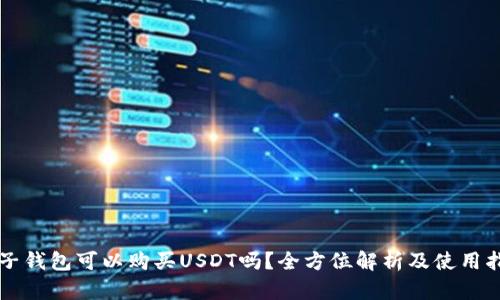 麦子钱包可以购买USDT吗？全方位解析及使用指南