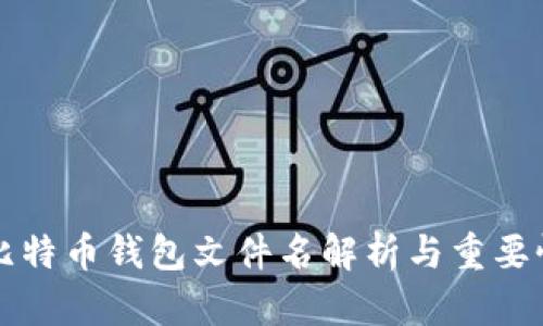 早期比特币钱包文件名解析与重要性分析