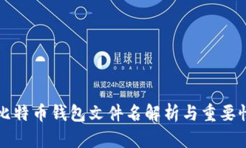 早期比特币钱包文件名解析与重要性分析