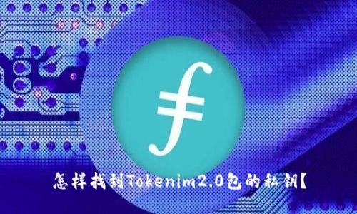 怎样找到Tokenim2.0包的私钥？