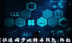 如何快速同步比特币钱包