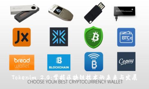 Tokenim 2.0：掌握区块链技术的未来与发展