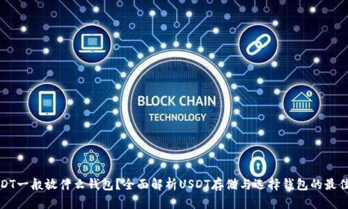 : USDT一般放什么钱包？全面解析USDT存储与选择钱包的最佳实践
