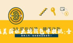 如何在美国以太坊钱包中