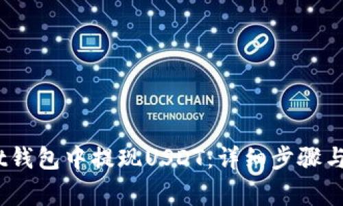 如何从Bit钱包中提现USDT：详细步骤与注意事项