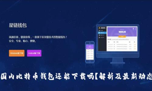 国内比特币钱包还能下载吗？解析及最新动态