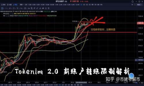 Tokenim 2.0 新账户转账限制解析