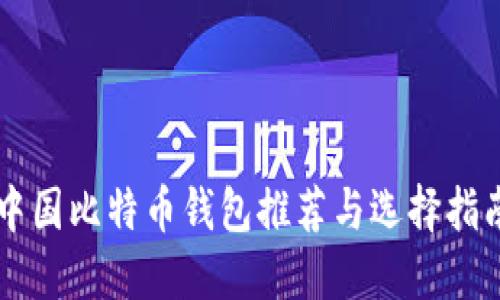 中国比特币钱包推荐与选择指南