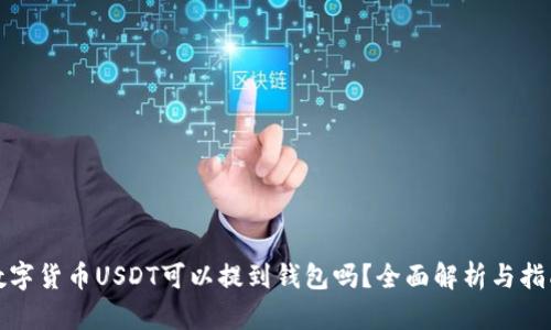 数字货币USDT可以提到钱包吗？全面解析与指南