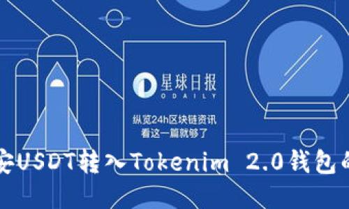 如何将币安USDT转入Tokenim 2.0钱包的详细指南