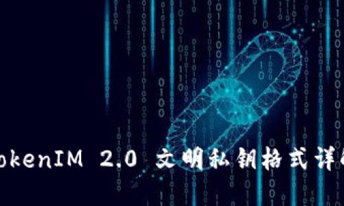 TokenIM 2.0 文明私钥格式详解