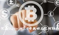 如何在Tokenim2.0中找回忘记