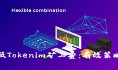 如何降低Tokenim矿工费：有