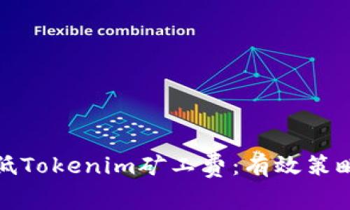 如何降低Tokenim矿工费：有效策略与技巧