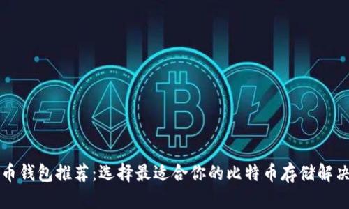 比特币钱包推荐：选择最适合你的比特币存储解决方案