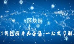 数字钱包USDT钱包图片大全
