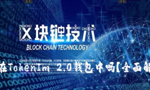 ZEC可以存储在TokenIm 2.0钱包中吗？全面解析与使用指南